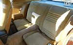 1981 Firebird Thumbnail 73