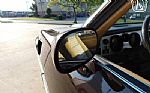 1981 Firebird Thumbnail 75