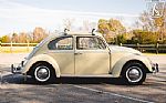 1965 Beetle Thumbnail 19