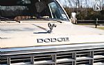 1983 Ramcharger SE Prospector Thumbnail 30