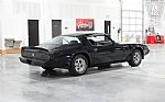 1981 Firebird Trans Am Thumbnail 4