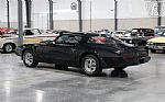 1981 Firebird Trans Am Thumbnail 14