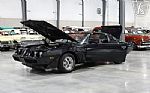 1981 Firebird Trans Am Thumbnail 69