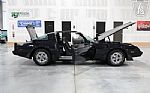 1981 Firebird Trans Am Thumbnail 74
