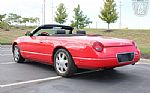 2002 Thunderbird Thumbnail 19