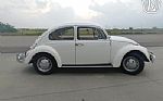 1966 Beetle Thumbnail 3