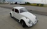 1966 Beetle Thumbnail 8