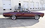 1967 GTO Thumbnail 5