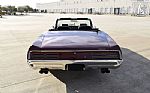1967 GTO Thumbnail 4