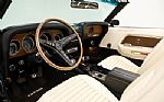 1969 Mustang Shelby Tribute Thumbnail 2