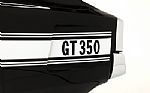 1969 Mustang Shelby Tribute Thumbnail 11