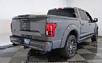 2020 F-150 Shelby 4x4 Thumbnail 11