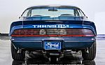 1979 Firebird Trans Am Thumbnail 9