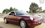 2004 Thunderbird Thumbnail 13