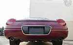 2004 Thunderbird Thumbnail 23