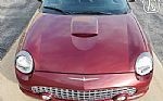 2004 Thunderbird Thumbnail 25