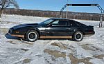 1982 Firebird Thumbnail 4