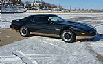 1982 Firebird Thumbnail 8