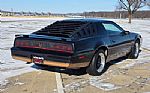 1982 Firebird Thumbnail 29