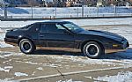 1982 Firebird Thumbnail 1