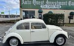1967 Beetle Thumbnail 2