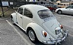 1967 Beetle Thumbnail 5