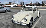 1967 Beetle Thumbnail 6