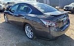 2012 Maxima Thumbnail 2