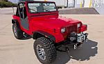 1993 YJ Thumbnail 20