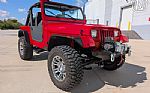 1993 YJ Thumbnail 21