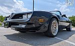 1977 Firebird Roadster Trans Am Thumbnail 3