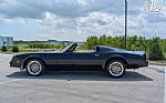 1977 Firebird Roadster Trans Am Thumbnail 5