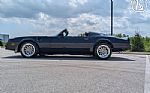 1977 Firebird Roadster Trans Am Thumbnail 6