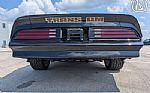 1977 Firebird Roadster Trans Am Thumbnail 12