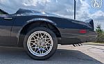 1977 Firebird Roadster Trans Am Thumbnail 34