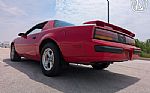 1989 Firebird Thumbnail 9
