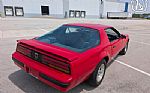 1989 Firebird Thumbnail 13