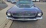 1966 Mustang Boss 302 Thumbnail 2