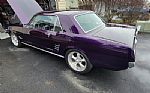1966 Mustang Boss 302 Thumbnail 6