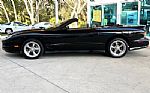 2002 Firebird Thumbnail 12