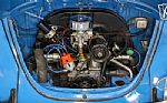 1971 Beetle Thumbnail 2