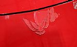 1994 Firebird Thumbnail 71