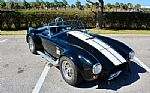 2009 Cobra Thumbnail 12