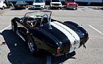 2009 Cobra Thumbnail 14
