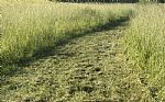 2024 5067E Thumbnail 5