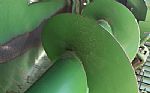 2013 348 Thumbnail 4