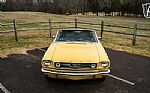 1966 Mustang Thumbnail 2