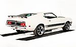 1973 Mustang Mach 1 Pro Touring Thumbnail 27