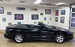 1995 Trans AM Thumbnail 3