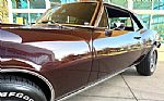 1967 Firebird Thumbnail 14